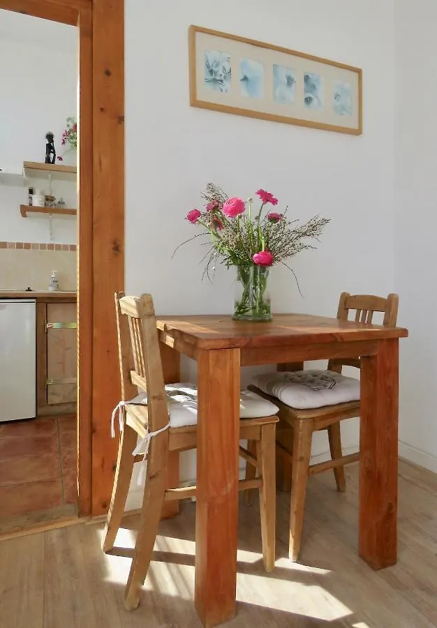 Sea Shell With Balcony Close To The Beach, City Centre And Dunes Zandvoort Paesi Bassi