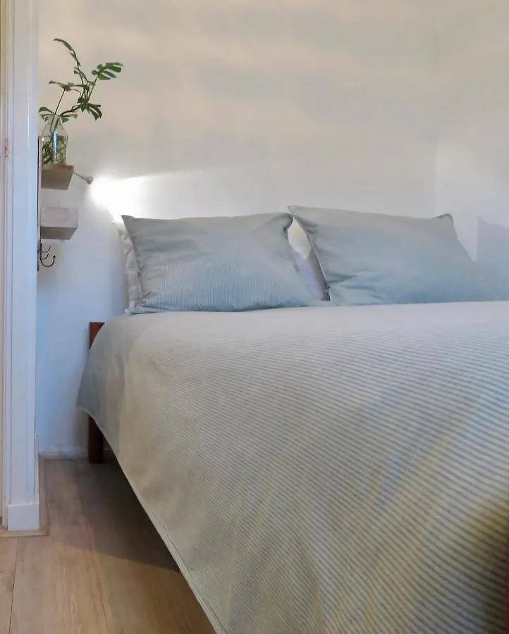Appartamento Sea Shell With Balcony Close To The Beach, City Centre And Dunes Zandvoort Paesi Bassi